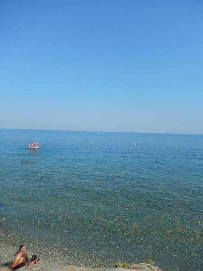 Brando Erbalunga - Residence Les Bosquets - Cap Corse Location المظهر الخارجي الصورة