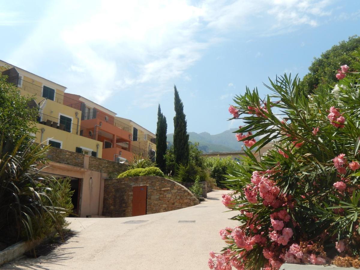 Brando Erbalunga - Residence Les Bosquets - Cap Corse Location المظهر الخارجي الصورة