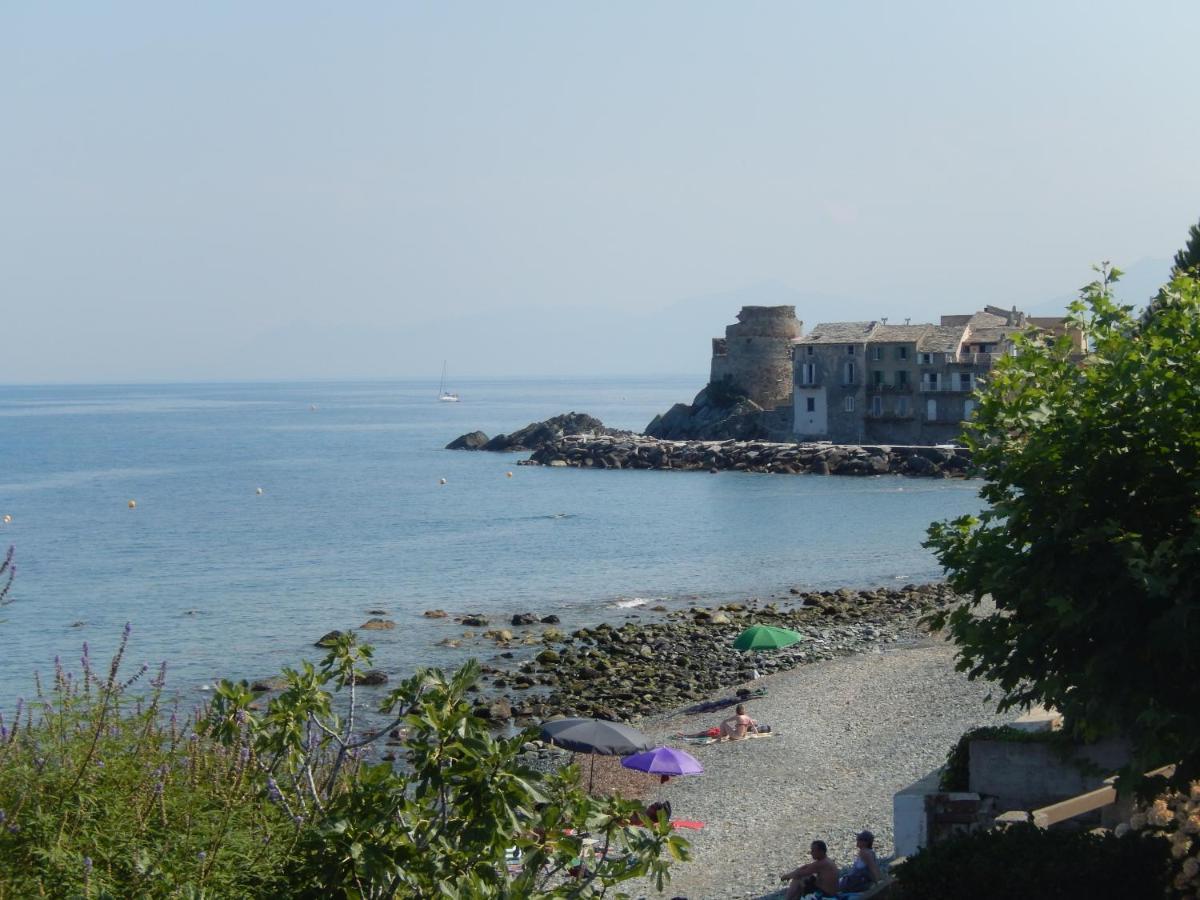 Brando Erbalunga - Residence Les Bosquets - Cap Corse Location المظهر الخارجي الصورة